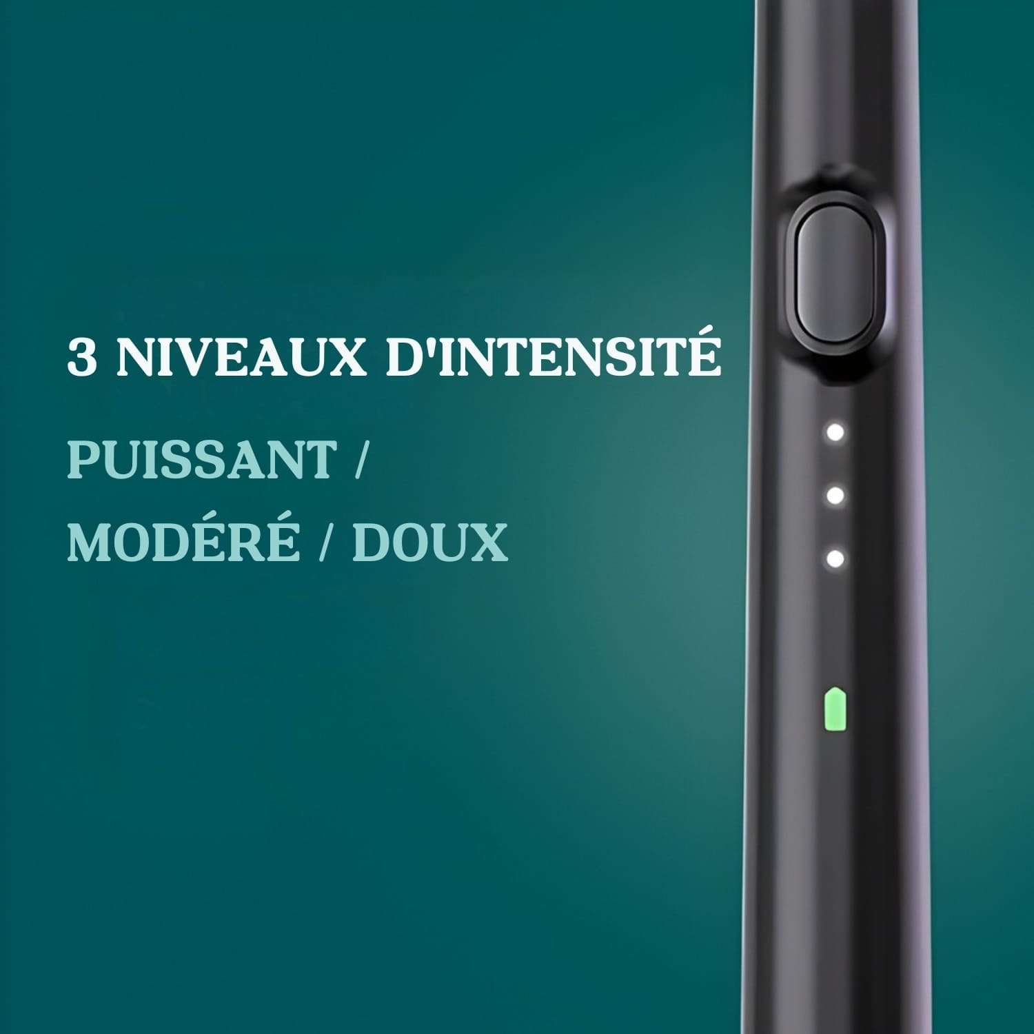 FlossOne Fil Dentaire Électrique – 35 embouts inclus